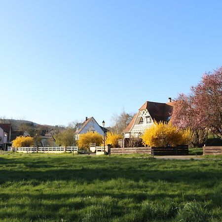 Romantik-Home Nordelsass - Ferienwohnung Fuer Selbstversorger Oberhoffen-les-Wissembourg Экстерьер фото