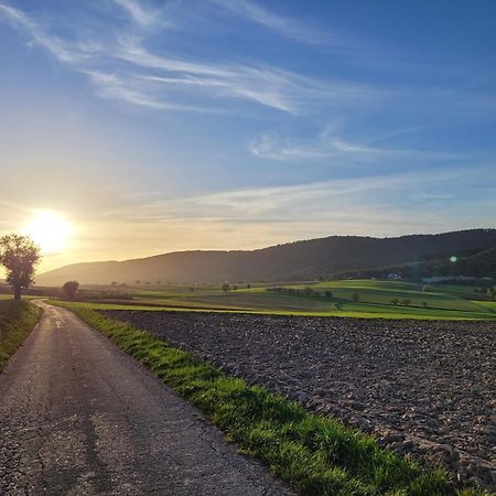 Romantik-Home Nordelsass - Ferienwohnung Fuer Selbstversorger Oberhoffen-les-Wissembourg Экстерьер фото