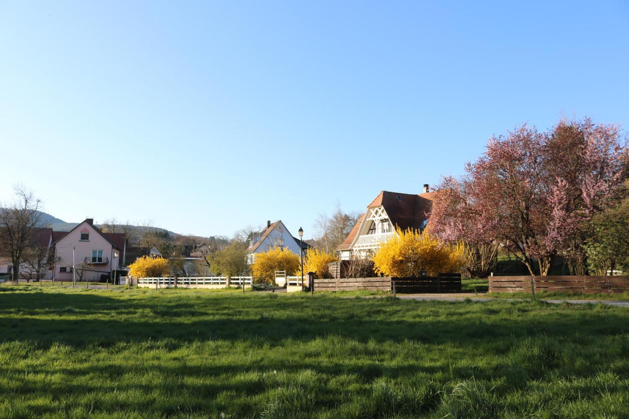 Romantik-Home Nordelsass - Ferienwohnung Fuer Selbstversorger Oberhoffen-les-Wissembourg Экстерьер фото
